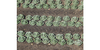 Juweela 23441 I (1:32) Lettuce
