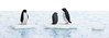 Busch 7923 H0 Pinguine auf Eisschollen
